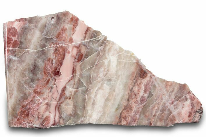 Polished Kona Dolomite (Stromatolite) Section - Michigan #299995